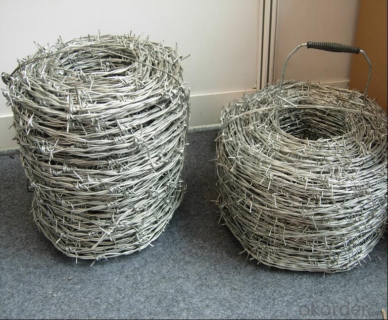 Anti Climb Wall Spike Barbed Wire for Sale (ISO9001)