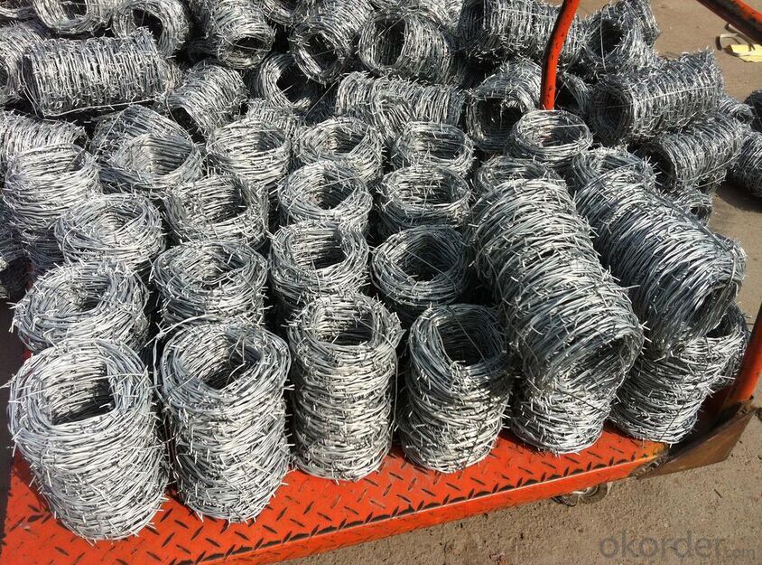 Electro Galvanized Barbed Wire for Fence