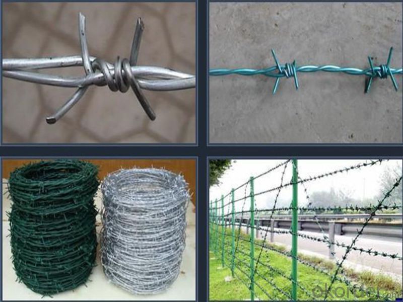 High Quality Hot DIP Galvanized Barbed Wire for Sale