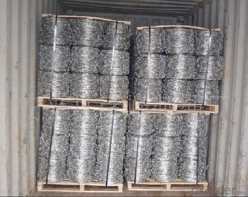 Anti Climb Wall Spike Barbed Wire for Sale (ISO9001)