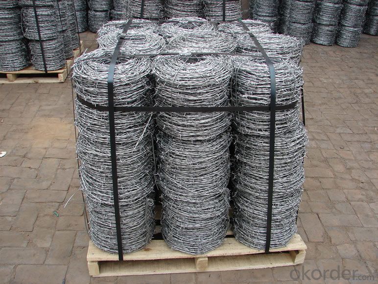 Galvanized Barbed Wire with Factory Price