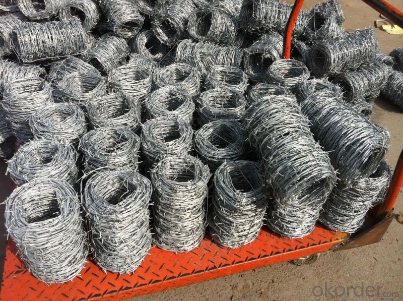 SGS Electro Galvanized Barbed Wire for Sales