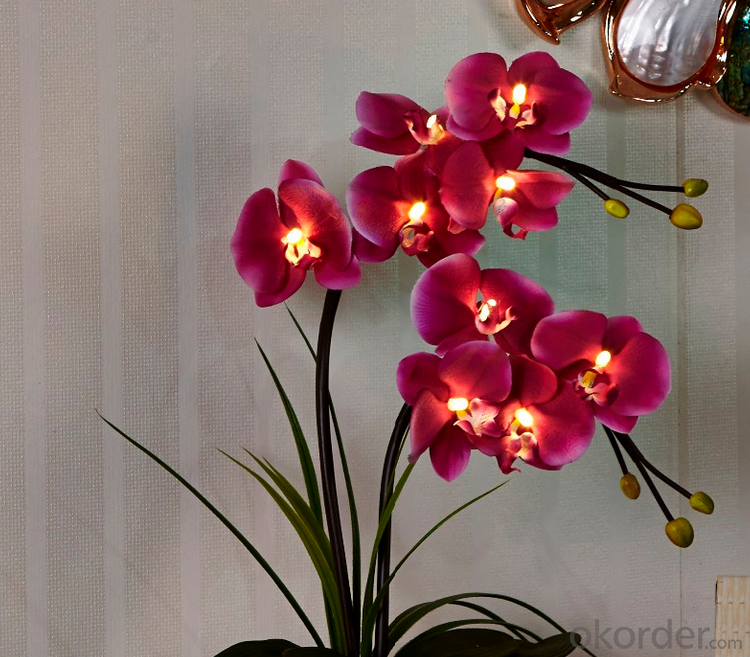 Orange Led Artificial Butterfly Orchid Flowers with Led Light
