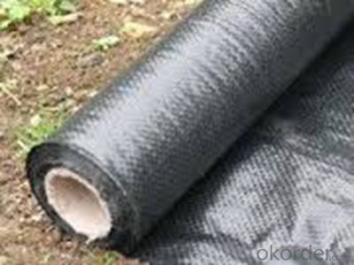 Excellent Filament Spunbond Non-woven Geotextile in China