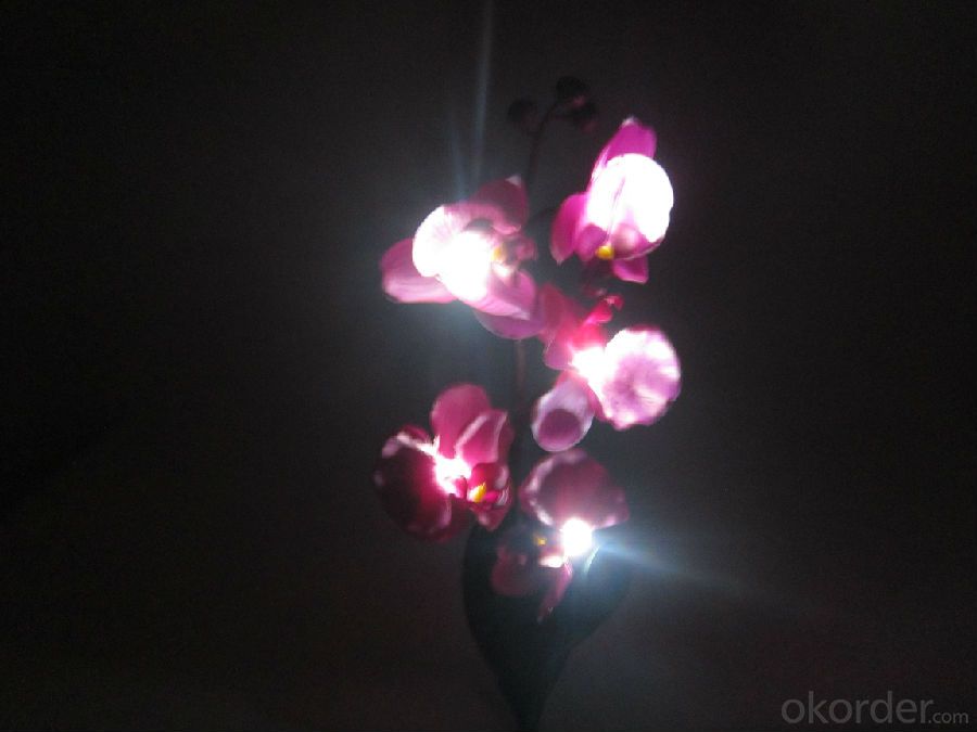 Purple Butterfly Orchid Solar Flower Garden Light