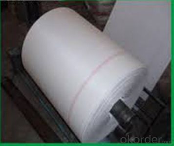 100% Polyester Filament Non-woven Geotextile Fabric in China