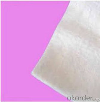 PET/PP Nonwoven Needle Punched Geotextile Fabric from China