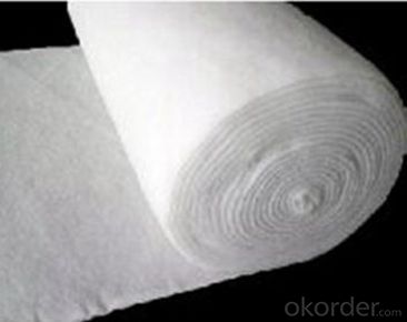 Non-woven  Short Fiber Needle Punched Geotextile for Drainage in China