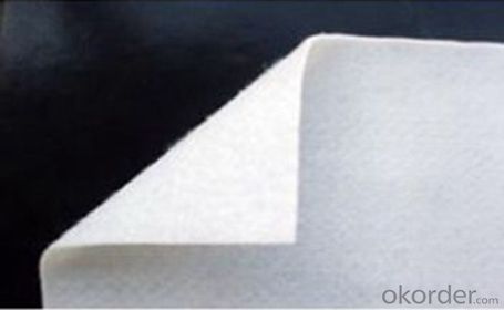 PP  Nonwoven Geotextile for Road Construction/Highway