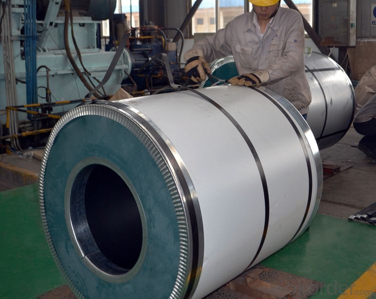High Quality DX51D Galvanized Steel Coil Regular Spangle Competitive Price