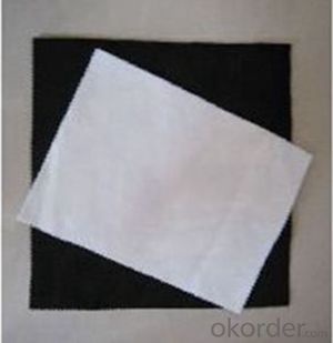 Pp Nonwoven Geotextile Fabrics-CNBM from China