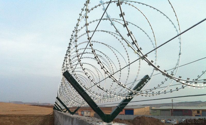 Security Fencing Razor Barbed Wire Fence with Factory Price