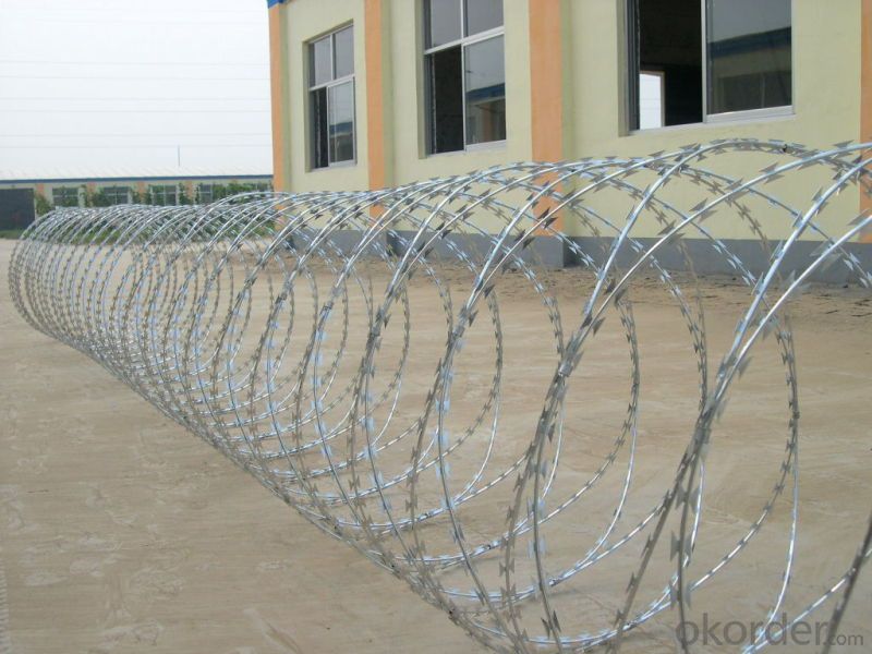 Galvanized Concertina Razor Barbed Wire