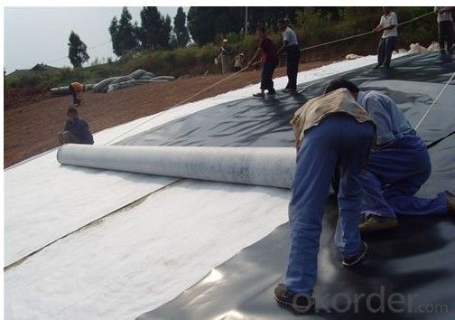 Hdpe Geomembrane Roll Waterproof  for all Kinds of Decorative and Architectural Ponds