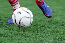 Soccer/Footbal Sport Flooring Plastic Floor Artificial Grass