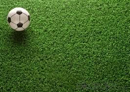 Soccer/Footbal Sport Flooring Plastic Floor Artificial Grass