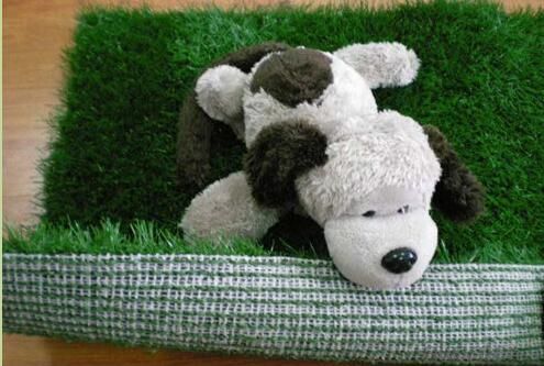 Pet/animal used for easy cleaning of artificial turf.