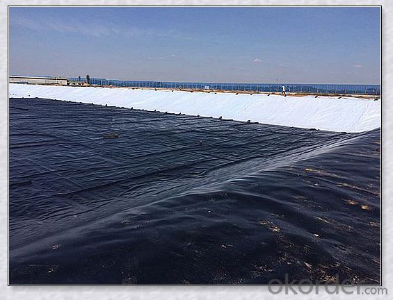 2mm hdpe geomembrane Roll for Sale With Factory Price