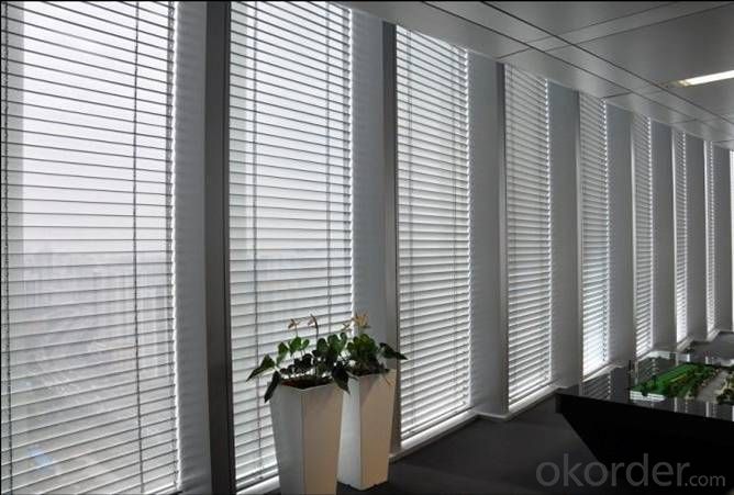Sheer Vertical Blinds, China Sun Shade Vertical Window Blinds