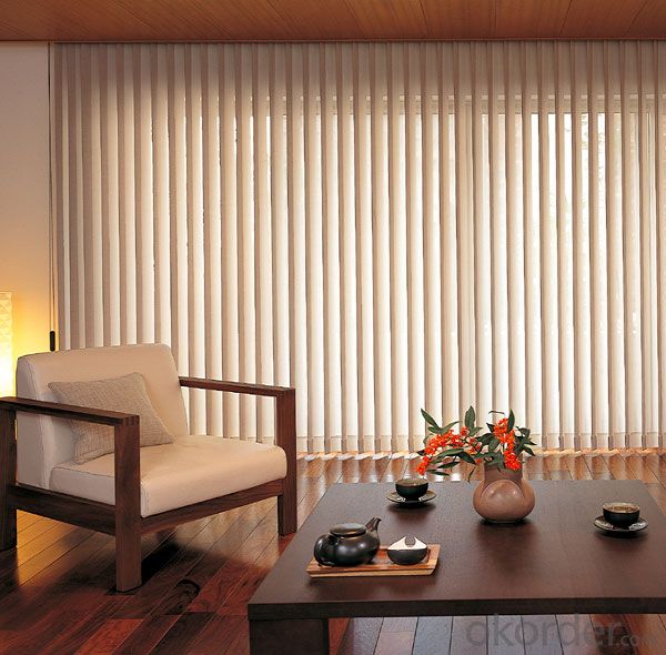 Polyester Blackout Double Roller Blind Curtain