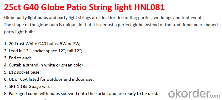 25 Foot Outdoor/Indoor Patio G40 Globe String Lights, White Wire, 50 Clear Lights