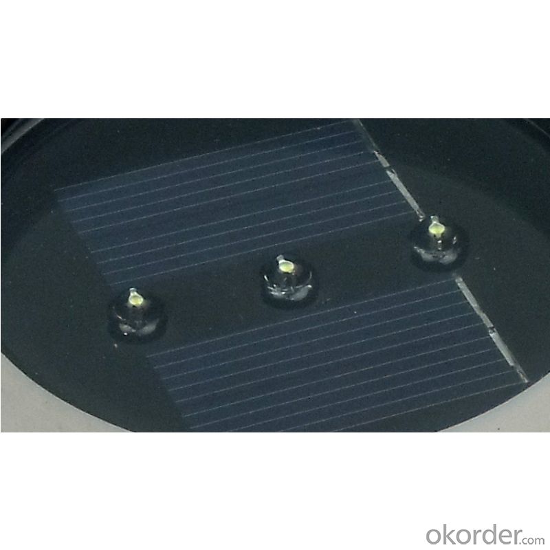 High Lumens Solar Ground Light with Cheap Price and High Quality