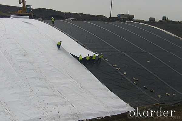Linear Low-density Polyethylene Geomembrane of  Reliable Supplier for Sale