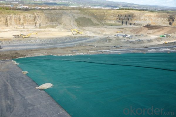 Polyethylene Smooth Geomembrane for Sale as Waterproof Facing of Earth