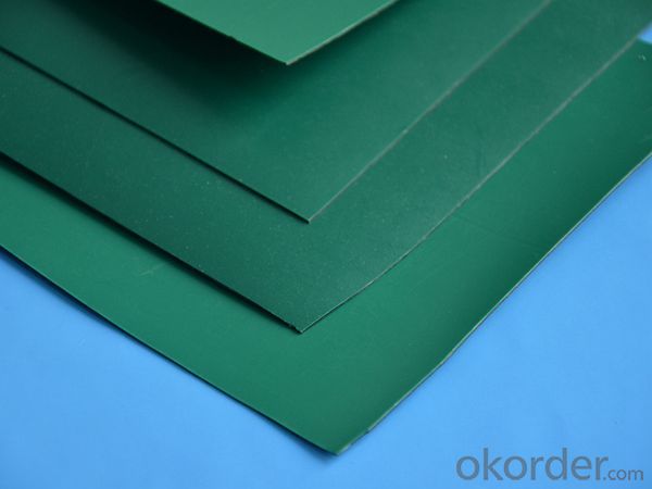 Polyvinyl Chloride Geomembrane Environmental Engineering with Best Quality Polypropylene