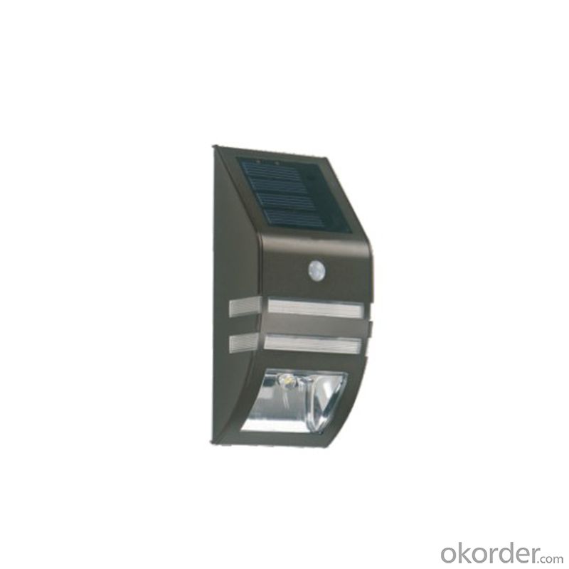 Solar Wall Light with Exquisite Design