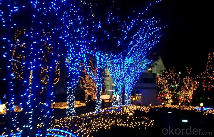 Blue Copper Wire Outdoor Led String Christmas Lights with Remote Control and Power Supply