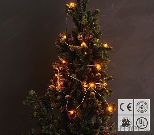 Yellow Copper Wire Outdoor Led String Christmas Lights with Remote Control and Power Supply