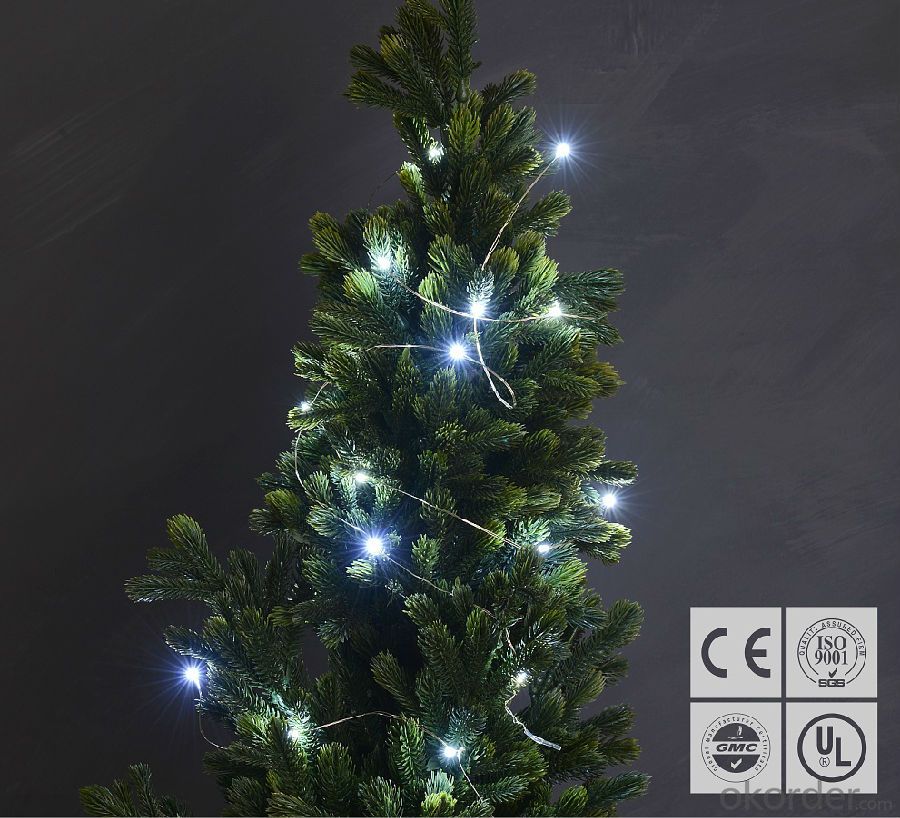 Cold White Copper Wire Outdoor Led String Christmas Lights with Remote Control and Power Supply
