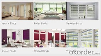 European Roller Blind Color Coated And Silver Coated 100%