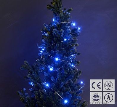 Blue Battery Operated LED Copper Wire String Lights for  Holidays Party Wedding Decoration