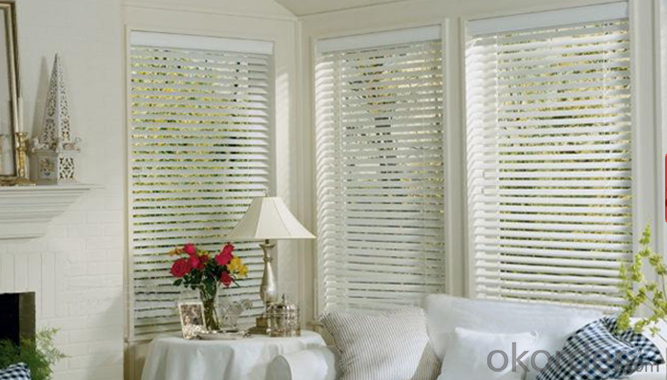 Blind Curtain, Polyester Blind Curtain, Colorful Polyester Blind Curtain