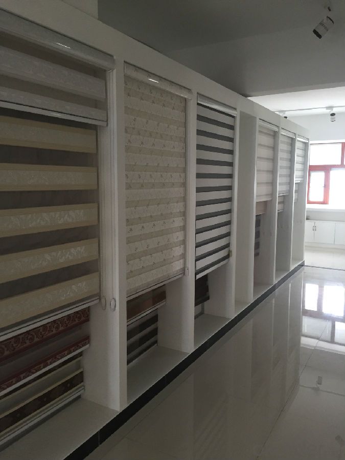 Fashionable Manual or electric window roller curtain