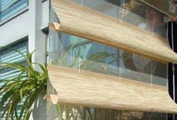 electric vertical blinds/aluminum roller shutter window