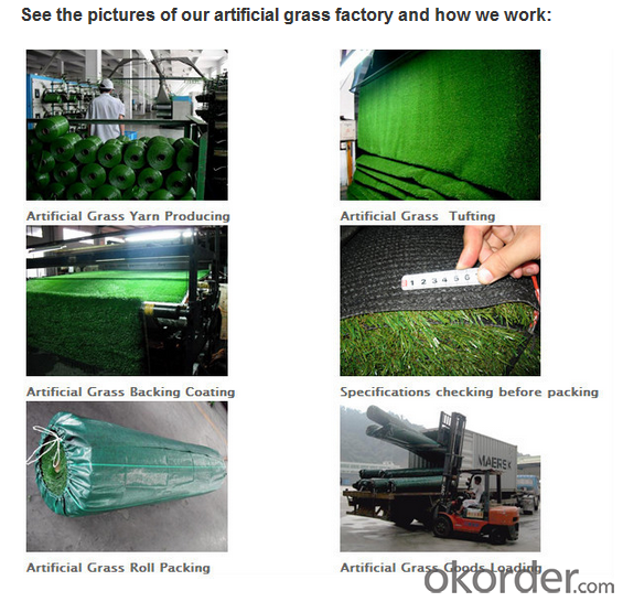 Artificial Grass, Home Friendly Grass, Hot Sale & Best Sell in China