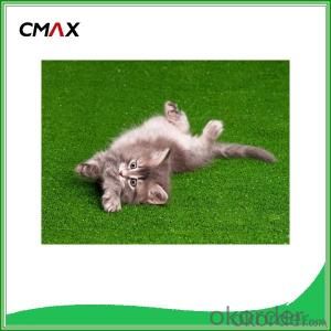 Artificial Grass  for Pet  Environmental Hot & Best Sell in China