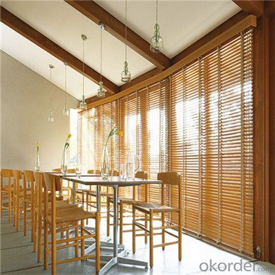 Blackout and Sunscreen fabric motorized roller blinds