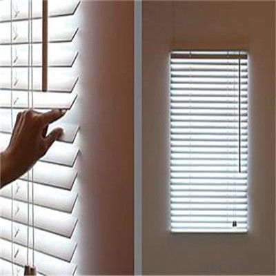 Colorful zebra blinds day night roller blinds double