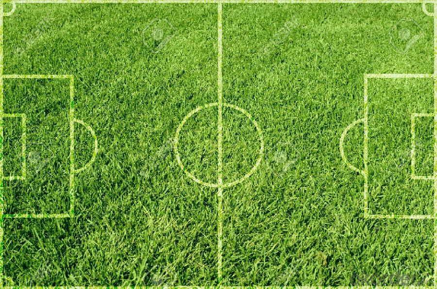 CMAX Durable Anti UV Soccer Synthetic Grass for Football Field