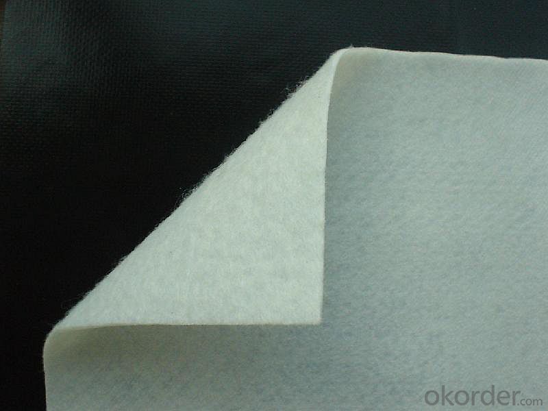 500g Nonwoven Geotextile Fabric from China Company