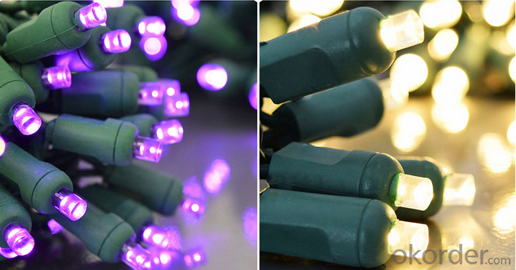 Wide Angle 5mm LED Battery String Lights