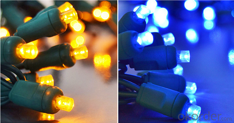 5mm Wide Angle Custom Christmas Led Light String for Home Decoration