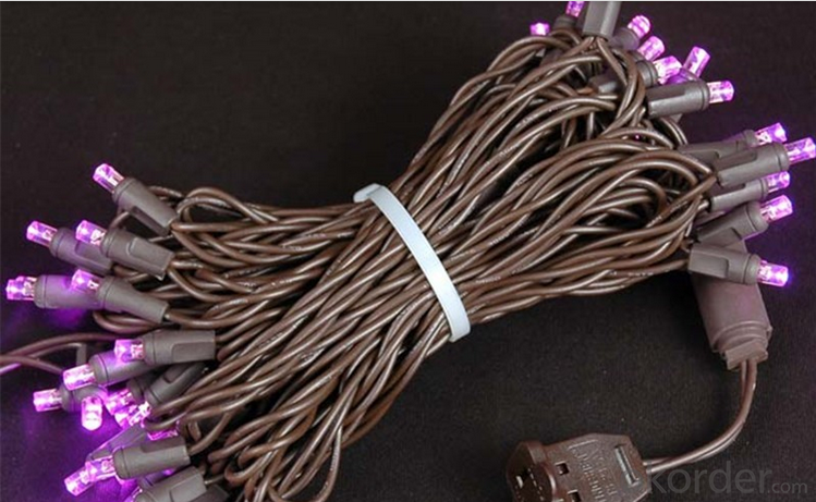 Solar String of Lights for Garden 5MM Wide Angle 100 Counts