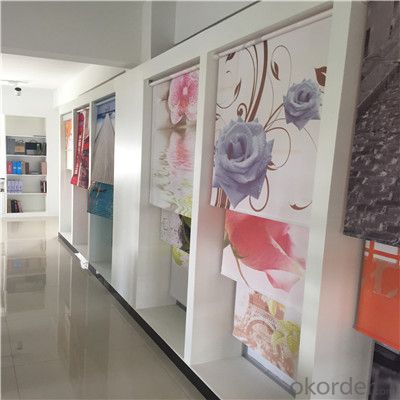 Fashionable Manual or Electric Window Roller Curtains