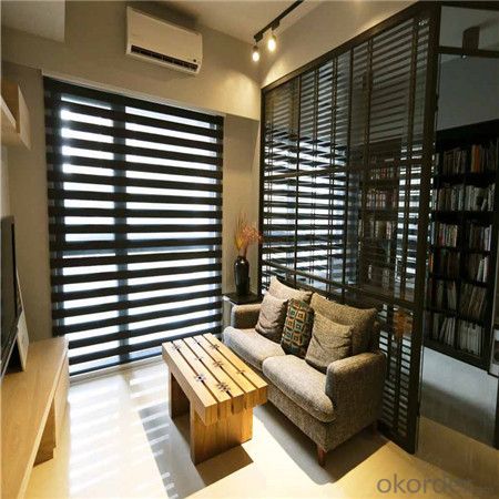 Sunscreen Motorized Sun Window Patio Blinds