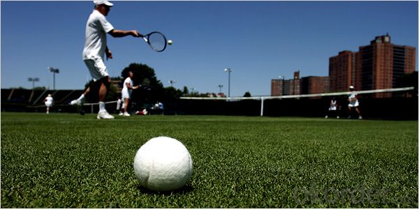 Turf Artificial Grass Tennis Sport Grass